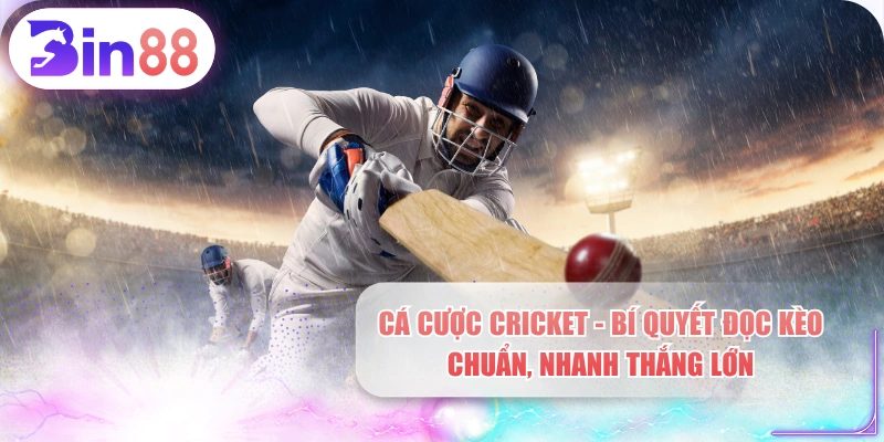 Cá Cược Cricket - Bí Quyết Đọc Kèo Chuẩn, Nhanh Thắng Lớn