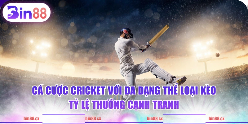 Cá cược Cricket với đa dạng thể loại kèo, tỷ lệ thưởng cạnh tranh