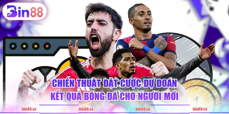 Chiến thuật đặt cược dự đoán kết quả bóng đá cho người mới