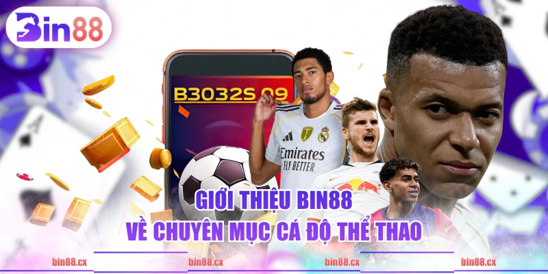 Giới thiệu BIN88 về chuyên mục cá độ thể thao
