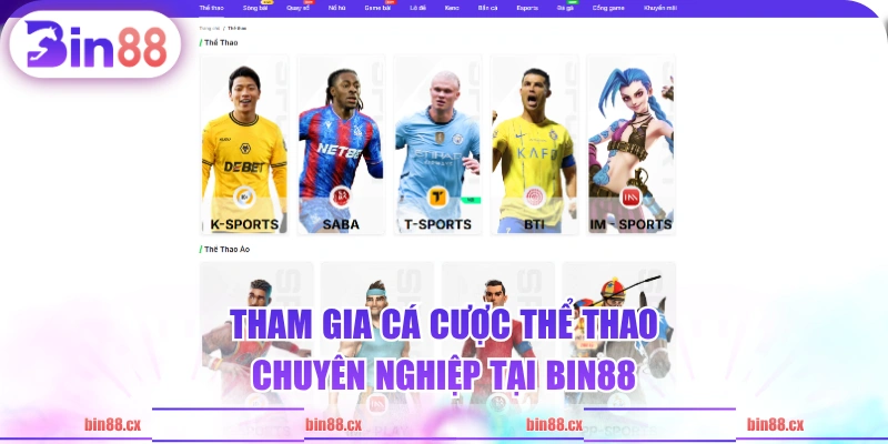 Tham gia cá cược thể thao chuyên nghiệp tại BIN88